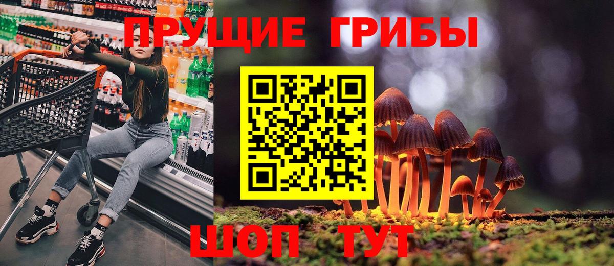 Псилоцибиновые грибы мухоморы Архангельск