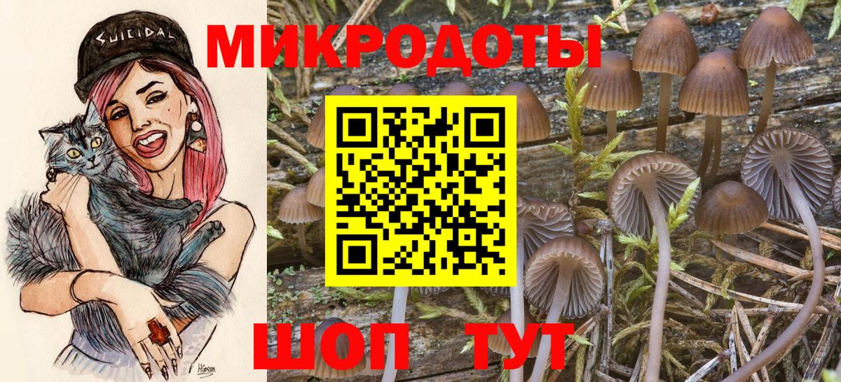 Псилоцибиновые грибы прущие грибы  Вход с VPN  Архангельск 
